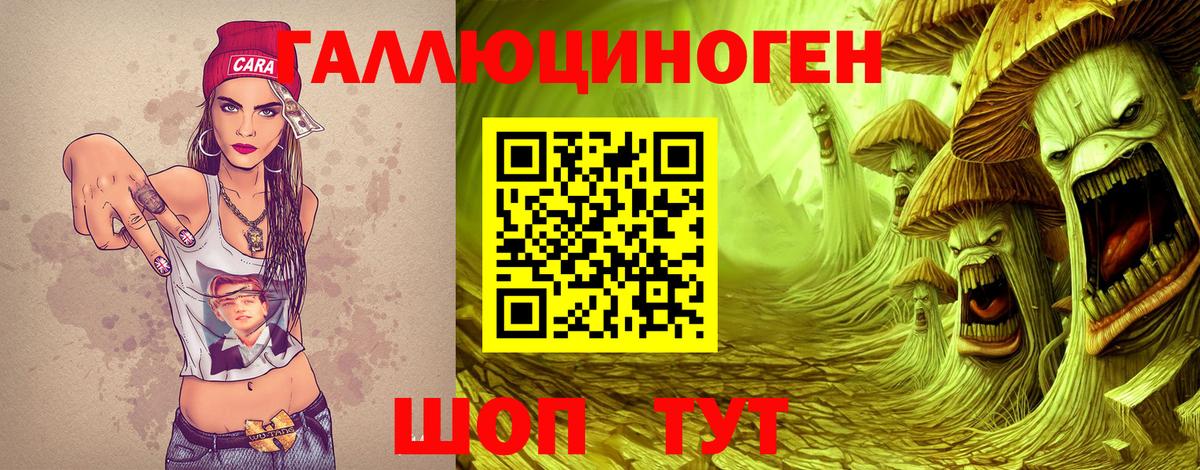 Галлюциногенные грибы MAGIC MUSHROOMS  сколько стоит  Зеленогорск  Вход с VPN  Псилоцибиновые грибы MAGIC MUSHROOMS 