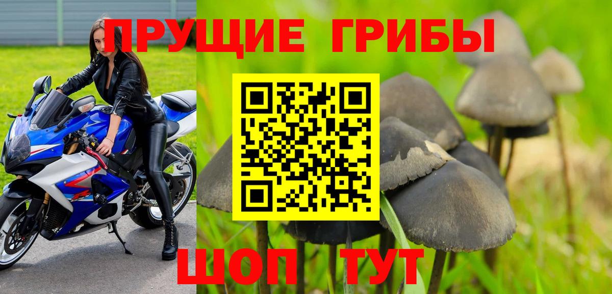 Псилоцибиновые грибы прущие грибы Зеленогорск